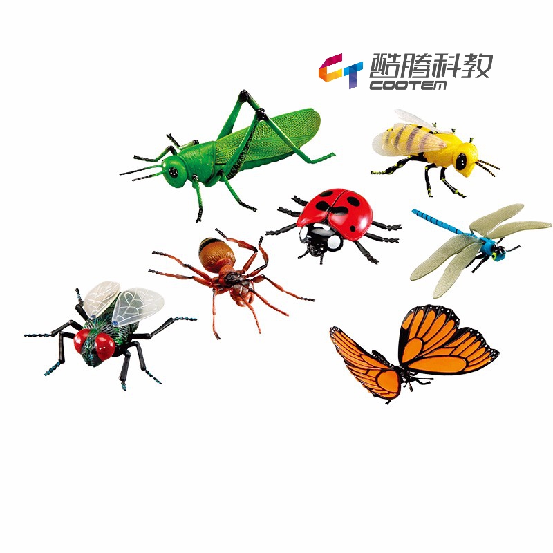 超大昆虫模型