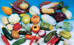 31件逼真塑胶蔬菜
