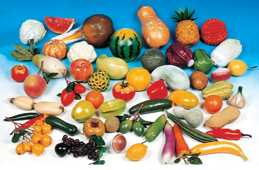 全套塑胶水果蔬菜