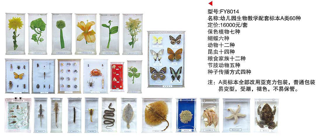幼儿园生物教学配套标本A类60种