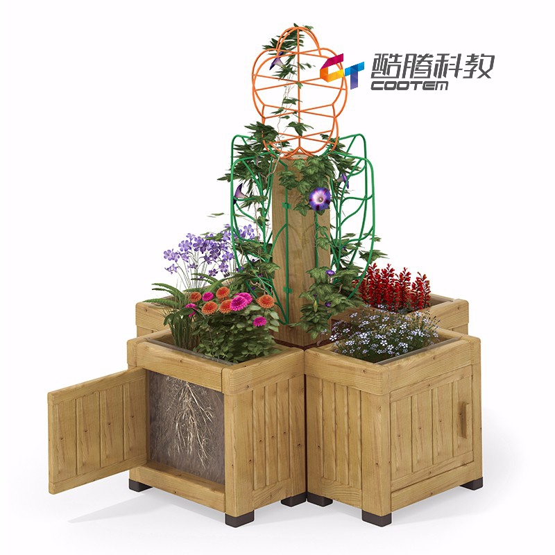植物根部观察器
